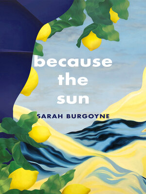 cover image of Because the Sun